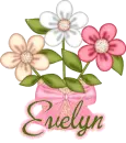 Evelyn