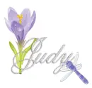 judy