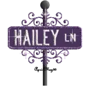purple street sign hailey LN
