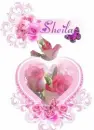 Sheila Pink Roses n Heart