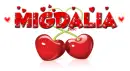 Megdaila