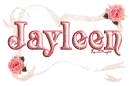 roses pink jayleen
