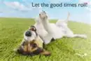 let the good times roll
