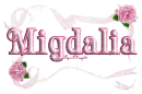 pink roses migdalia