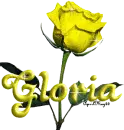 yellow rose gloria