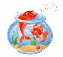 fishbowl