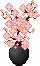 Pink Petals