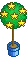Stars in  a tree