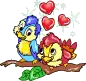 love birds