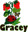 Gracey