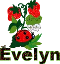 Evelyn...