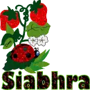 Siabhra