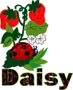 Daisy...