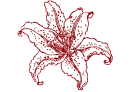 fiore