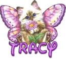 Tracy