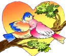 Love Birds