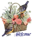 Birdie Welcome
