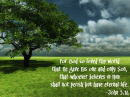 John 3:16
