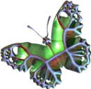 Green Teal Butterfly