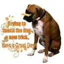 Dog Tricks