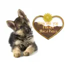 Dog/Heart