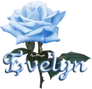 blue rose evelyn