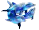 Water Dolphins
