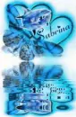 Sabrina Dolphin Butterfly