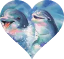 Dolphin Heart
