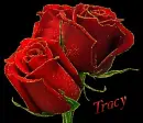 tracy