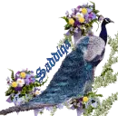 SADDIQA'S BLUE PEACOCK