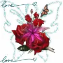 Love is