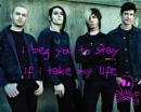 afi 