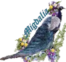 Migdalia's blue peacock