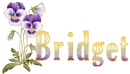 Bridget