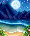 night beach scene