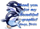 whales with hugs jirzie