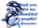 whales with hugs Georganne