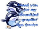 orca whales with hugs Genalyn