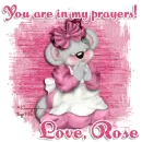 You are in my prayers- Rose