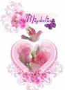 Migdalia Pink Sparkle Rose