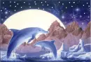 Dolphins