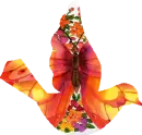 Butterfly Bird