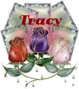 tracy  roses