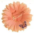 Susanna Peach flower Bird