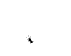 bug