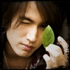jerry yan