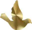 Golden Dove