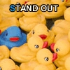 stand out