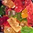 Protein From Gummys